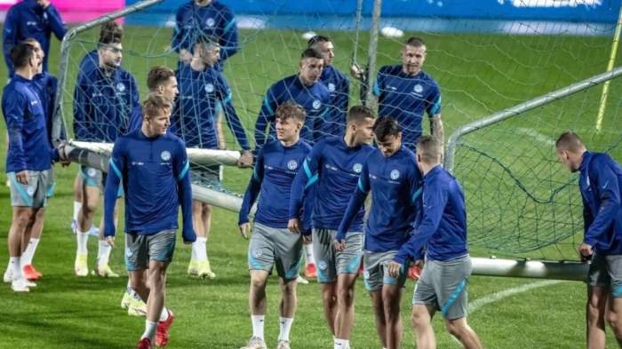 匈牙利队展现强大实力，胜出对阵波黑