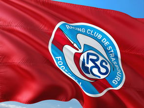 爱游戏APP-帕尔梅拉斯替补席深度成优势，冲击世俱杯冠军