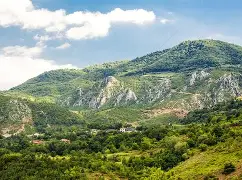 爱游戏-阿尔巴尼亚球员被控毒品丑闻的简单介绍