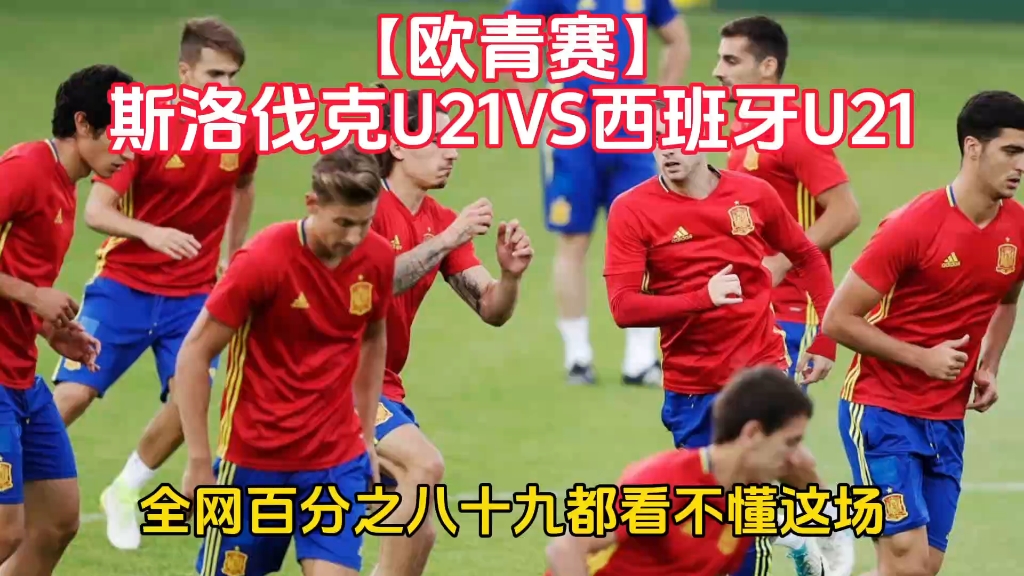 爱游戏娱乐-斯洛伐克掀起逆袭风暴，欧国杯赛实力惊人的简单介绍