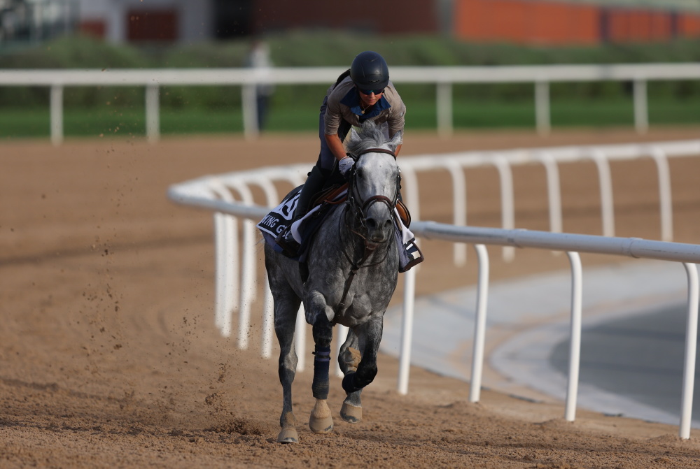 爱游戏在线-阿联酋马术选手表现出色，成功夺得金牌
