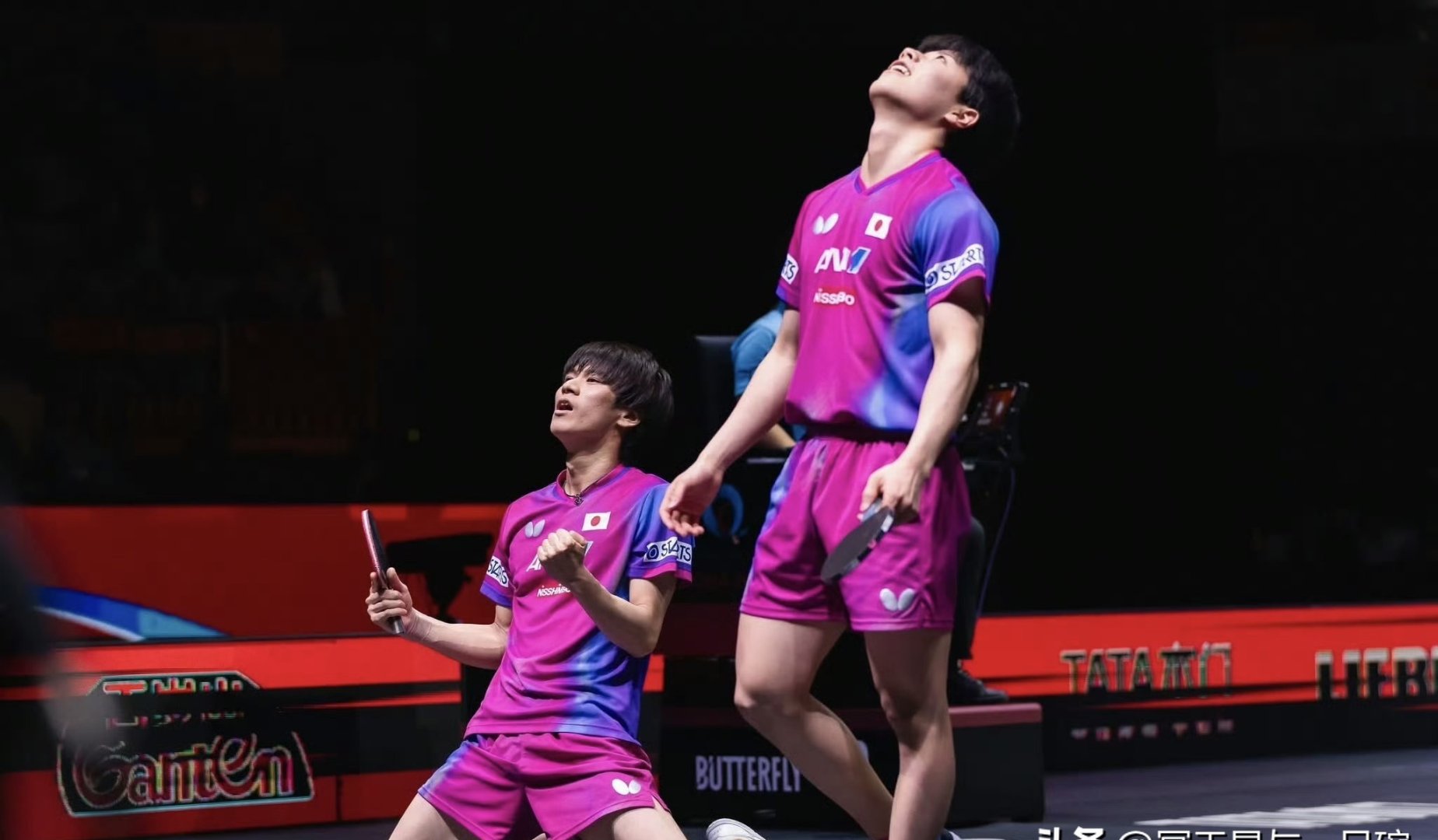 爱游戏在线-关于比利时乒乓球队鏖战英国乒乓球队，张本智和爆发神勇的信息