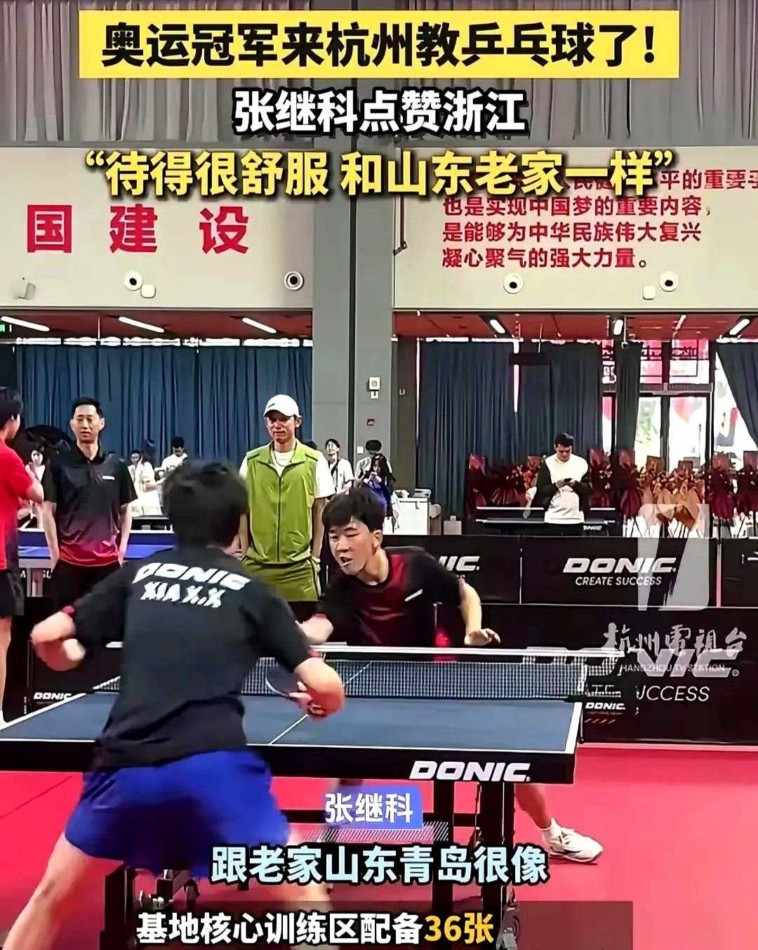 中国乒乓球队碾压法国乒乓球队，张继科三分雨点燃全场的简单介绍