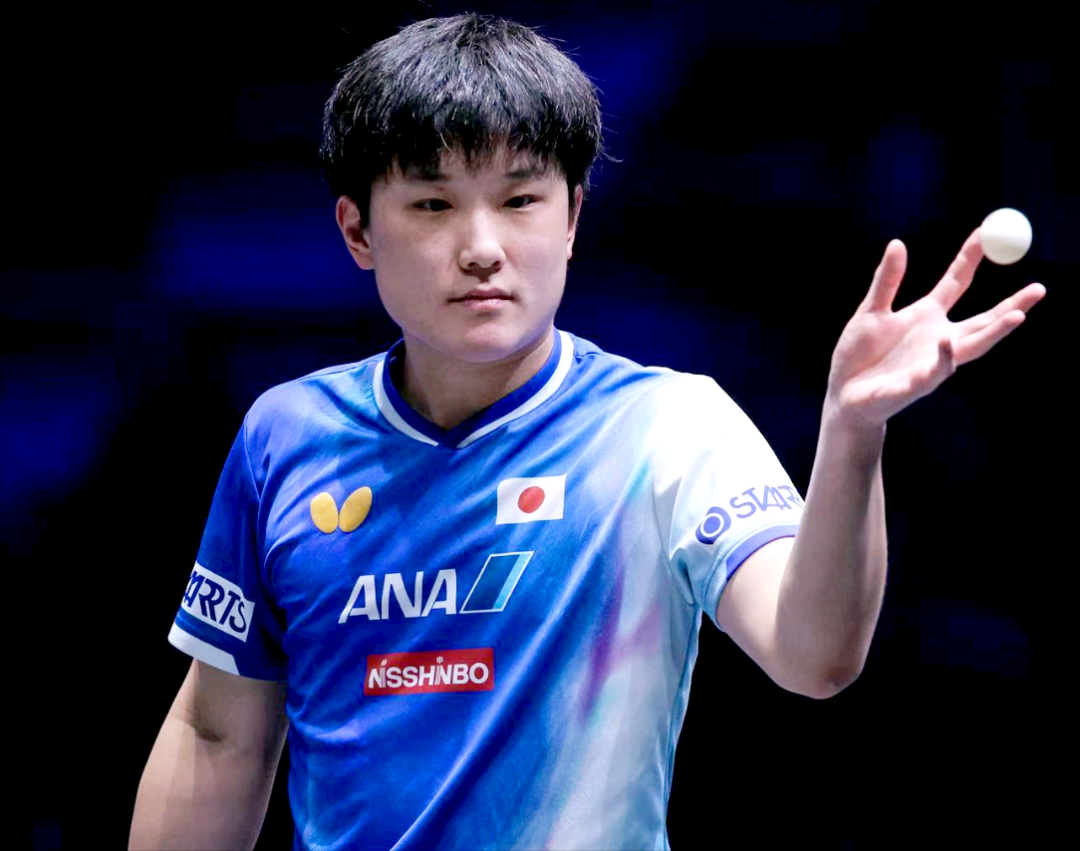 瑞典队逆转韩国队，张本智和高光表现