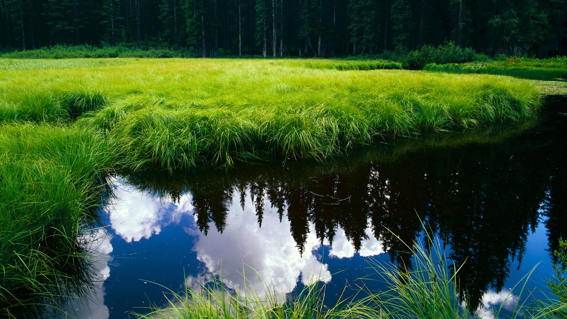 波斯铁骑踏碎沙漠壁垒,罗德里独舞征服绿茵审判—亚洲杯的颠覆之夜