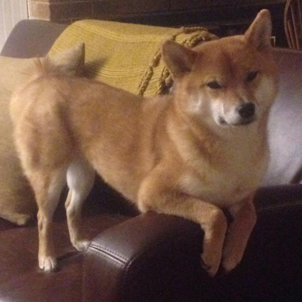 足球双城记,萨拉赫独舞演绎个人英雄主义,法国铁血磨砺险胜哥伦比亚