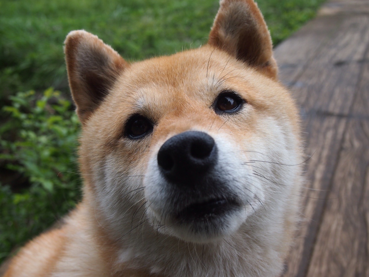 爱游戏官方入口-绝杀！骑士加时逆转尼克斯，莫兰特44分燃爆赛场