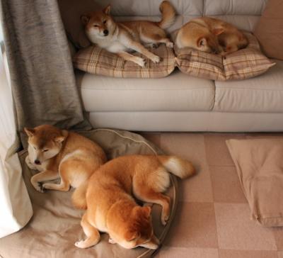 爱游戏-数据霸权与战术碾压，内马尔的王者独舞与曼城的体系胜利