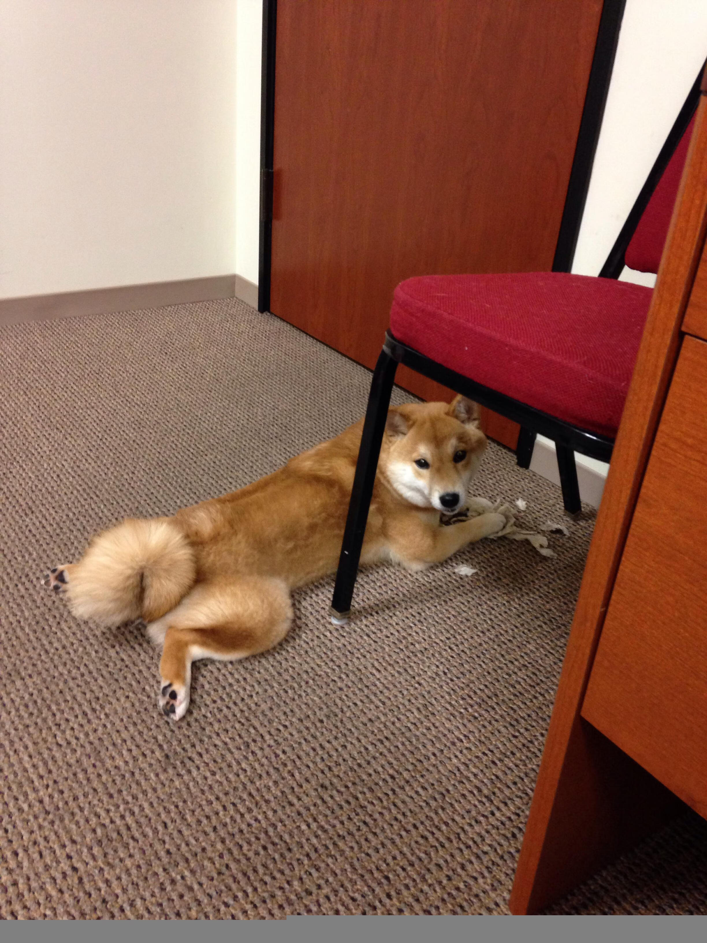 爱游戏官方入口-年度焦点之战，鹈鹕惊天逆转爵士