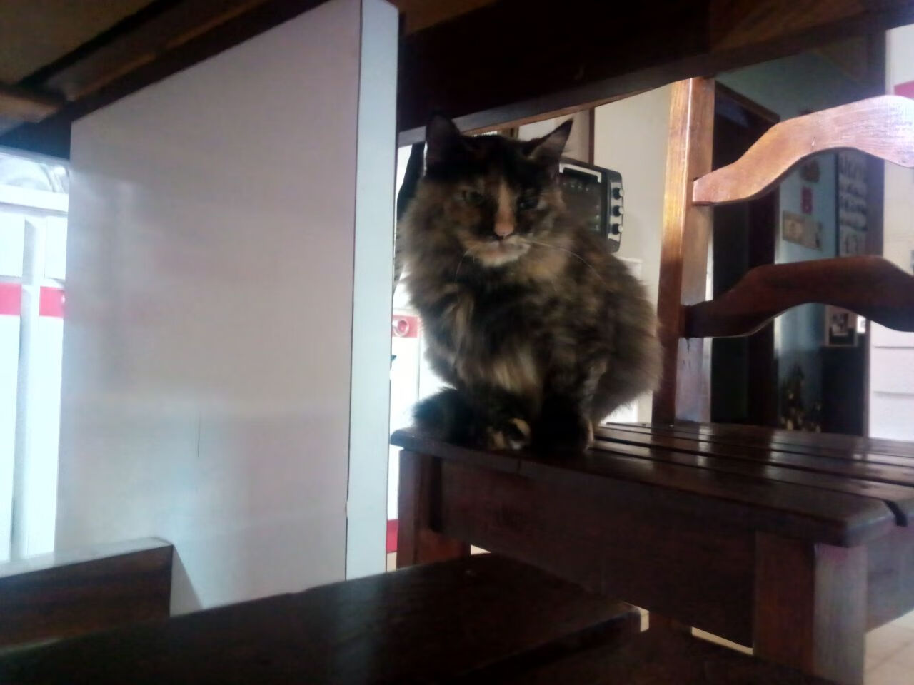 爱游戏官网-马刺对阵掘金，恩比德用实力证明自己的巨星之路