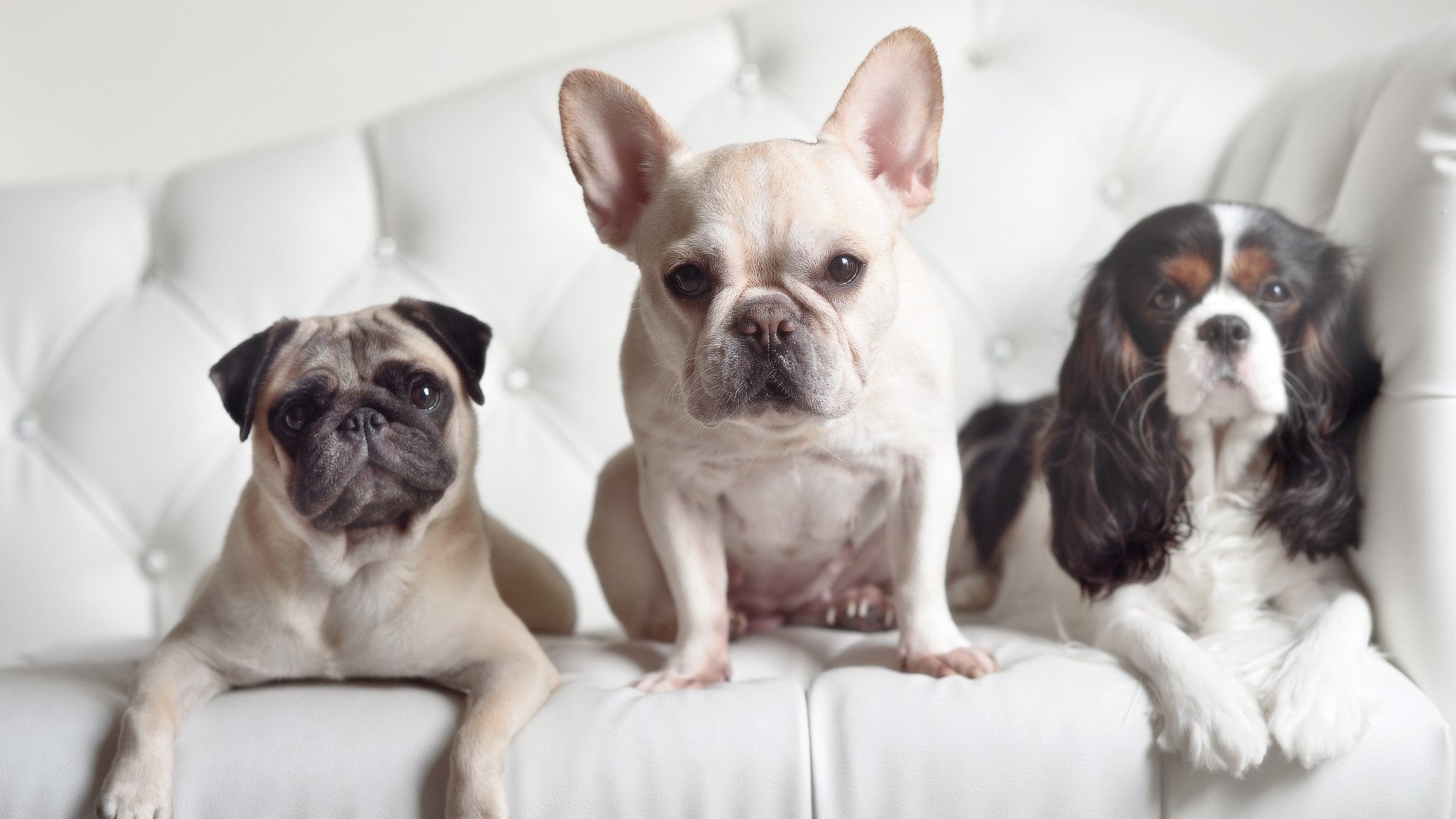 爱游戏娱乐-青春风暴与不灭余晖，当贝蒂斯横扫对手，莫德里奇在德比定义永恒